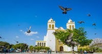 El Salvador IP office resumes activity