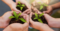 Local startup receives federal funds for agricultural technology