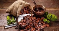 Intergovernmental Committee on Intellectual Property and Genetic Resources, Traditional Knowledge and Folklore
