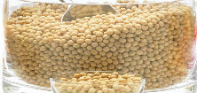 Export price of soybeans