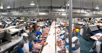 Meat industry leading company installed in Nicaragua