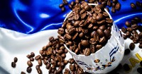 Proposals, experiences and ventures in bioeconomy in the coffee chain