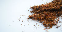 Tobacco industry looking to consolidate markets