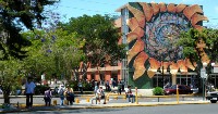 The University of Costa Rica will elaborate an IP regulation