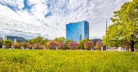 Venezuela highlights international achievements through WIPO